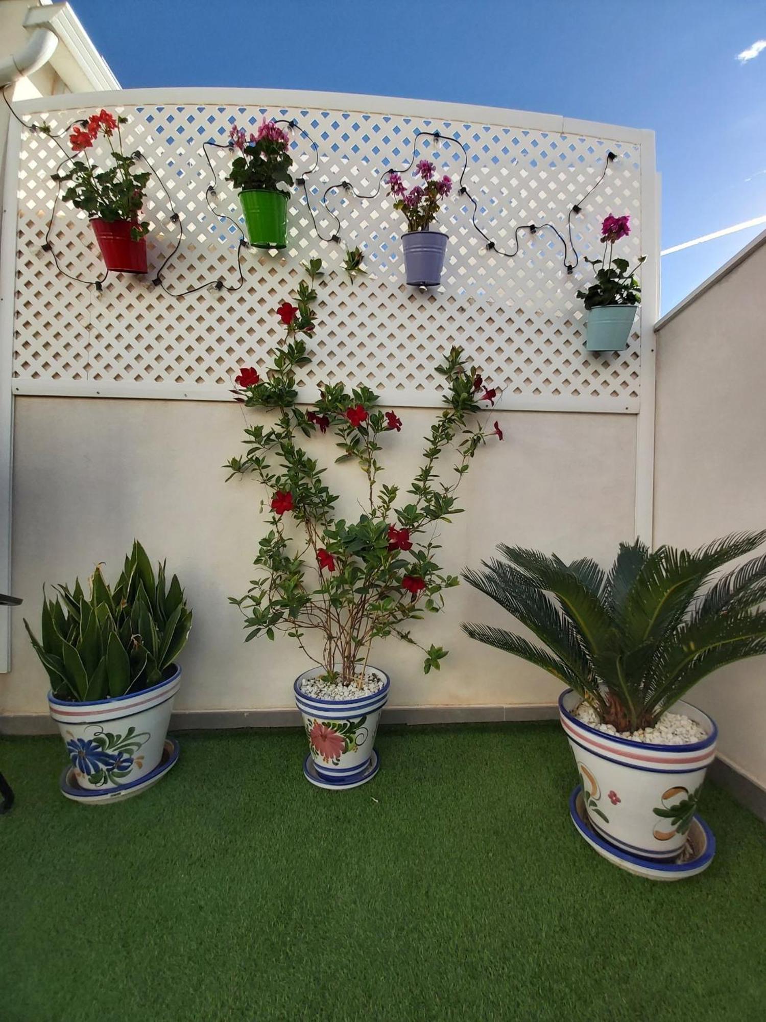To Be In Malaga Apartment Ngoại thất bức ảnh