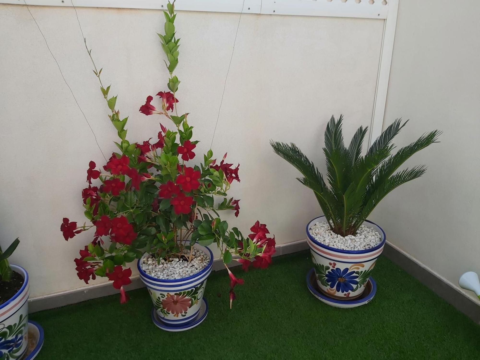 To Be In Malaga Apartment Ngoại thất bức ảnh